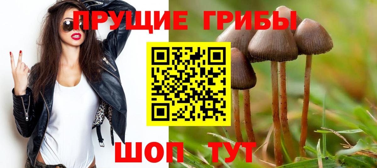 Псилоцибиновые грибы MAGIC MUSHROOMS  Галлюциногенные грибы MAGIC MUSHROOMS  Кимры  сколько стоит  Вход с VPN 